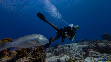 TDS - 2026-01-17T213113.529.png