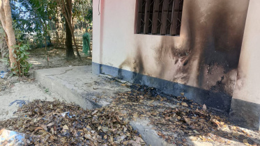 WhatsApp Image 2026-02-01 at 4.32.19 PM.jpeg