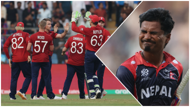 photo-collage.png - 2026-02-08T191153.461.png