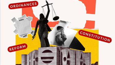 future of 133 ordinances in the new parliament