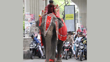 Untitled design (20).jpg