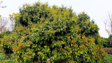 Untitled design - 2026-03-12T114331.330.jpg