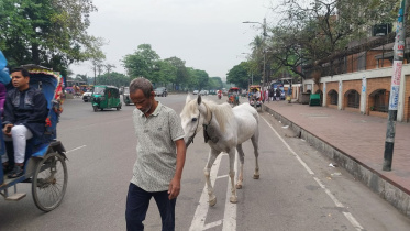 Dhaka empty on eid day 2026