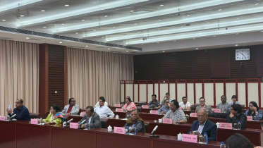 BNP_China_Delegation.jpg