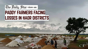 EDITORIAL 1 - Haor paddy farmers in facing losses.jpg