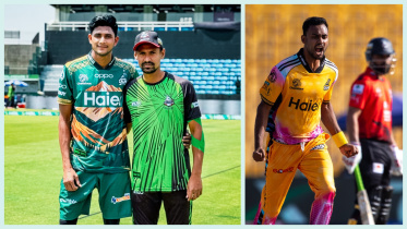 ipiccy_image (77).jpg