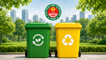Green bins.png