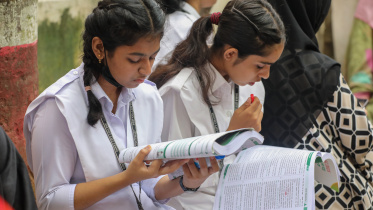 Two students studying