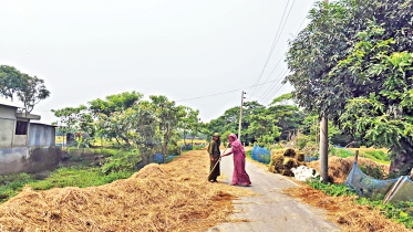 Sylhet-haors-1.jpg
