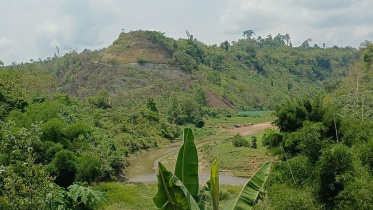 Bandarban landmine blast deaths