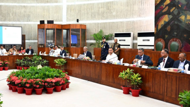 cabinet_0.jpg