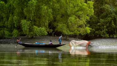 ED2__Sundarban_mangrove_forest.jpg