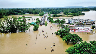 Flood.jpg