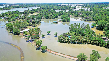 Flood.jpg