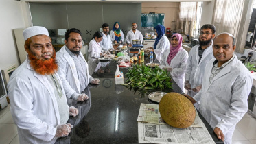 According to the researchers, while dried jackfruit seeds naturally contain around two percent mineral content, the new technology can increase it to more than 33 percent, boosting the mineral concentration by about 16 to 17 times. Photo: Collected