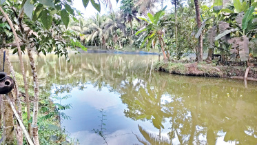 Kachua-upazila-1.jpg