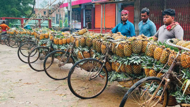 Madhupur pineapple price