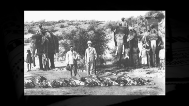 Tiger hunt in colonial India