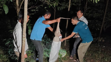 Ten rescued Bengal monitors return to the wild after being recovered from captivity in Khagrachhari. Photo: Collected
