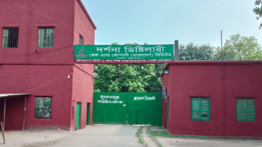 Carew_Darshana_UNB.PNG