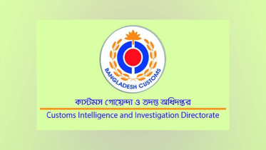 Customs Intelligence_CIID.jpg