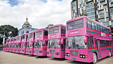 Pink-Bus.jpg