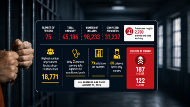 Prisons in numbers.png