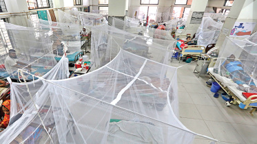 dengue-ward.jpg