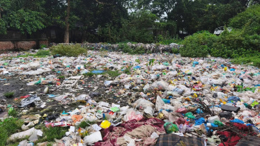 garbagwe.jpg