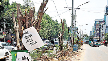 satmasjidroad.jpg