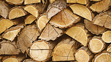 wood.jpg
