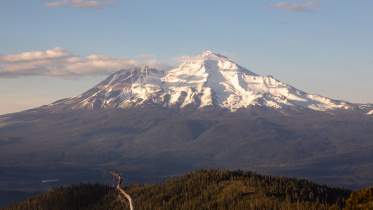 Mount Shasta