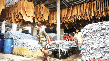 Tannery.jpg