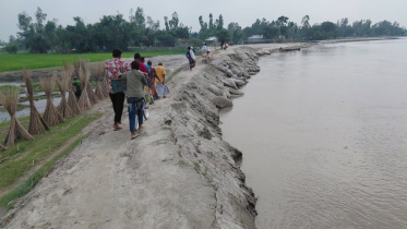 Teesta River erosion Lalmonirhat