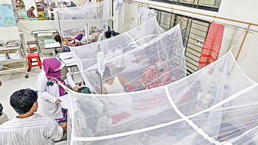 Bangladesh dengue deaths 2026