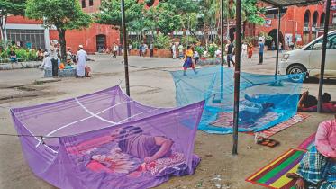 sleep under mosquito nets