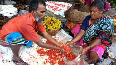 00000320191024_metro_Anisur Rahman_A_N_3032.jpg