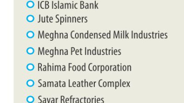 10 firms divident.jpg