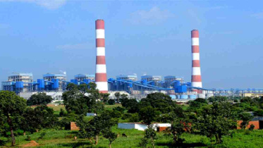 7028976_9767442_New Project(2).jpg