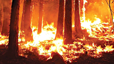 fire.jpg
