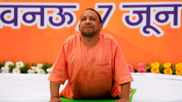 yogi.JPG