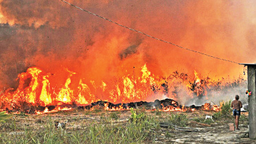 Brazil-wildfires.jpg