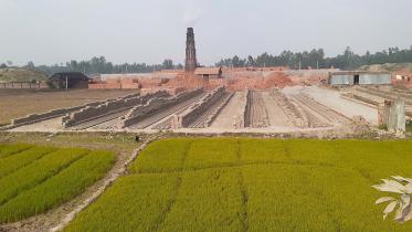 Kurigram illegal bricks-web.jpg