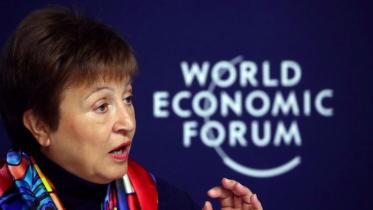 IMF-Final.jpg