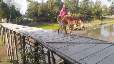 Kurigram-Phulbari-need-bridge.jpg