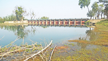 Criminals-drain-out-Buri-Teesta-reservoir.jpg