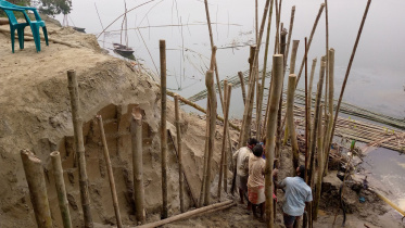 bamboo-pilings-save-erosion.jpg