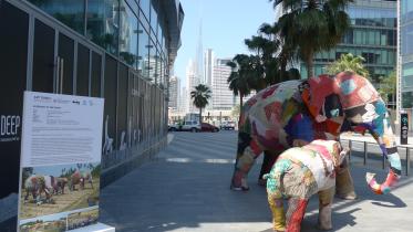 Elephant in the room.jpg