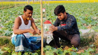 University-student-squash-farming.jpg
