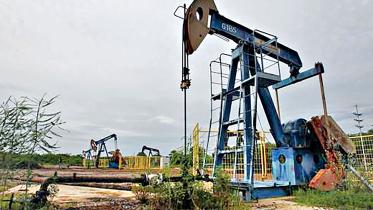 Oil-pumpjacks.jpg